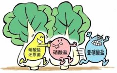 <strong>亚硝酸盐食物中毒频发天辰</strong>