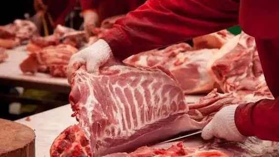 众生肉、子女肉、天辰父母肉，有何区别？