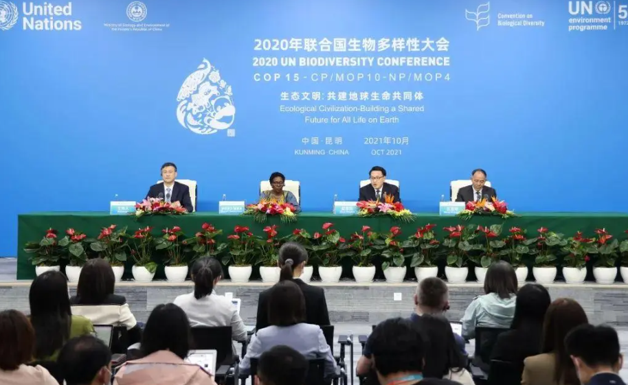 联合国成立新小组：跨政府生物多样性与生态系服务平台天辰